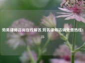 劳务律师咨询在线解答,劳务律师咨询免费热线123