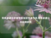 劳务派遣信息管理系统软件多少钱,劳务派遣公司应用软件