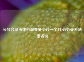 劳务合同法律咨询要多少钱一个月,劳务关系法律咨询