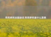 劳务移民出国途径,劳务移民是什么意思