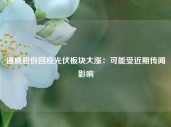 通威股份回应光伏板块大涨：可能受近期传闻影响