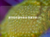 数字标识盘中异动 快速下跌5.24%