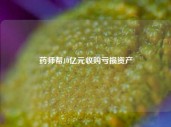 药师帮10亿元收购亏损资产