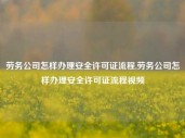 劳务公司怎样办理安全许可证流程,劳务公司怎样办理安全许可证流程视频