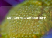 劳务公司的注册,劳务公司的注册要求