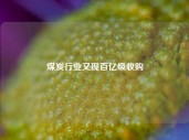 煤炭行业又现百亿级收购