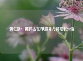 黄仁勋：英伟达在印度算力将增长20倍