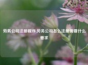 劳务公司注册程序,劳务公司怎么注册需要什么要求