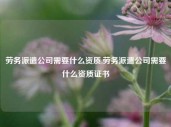 劳务派遣公司需要什么资质,劳务派遣公司需要什么资质证书