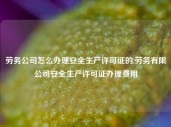 劳务公司怎么办理安全生产许可证的,劳务有限公司安全生产许可证办理费用