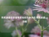 劳务派遣信息管理系统软件多少钱,劳务派遣app功能