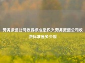 劳务派遣公司收费标准是多少,劳务派遣公司收费标准是多少啊