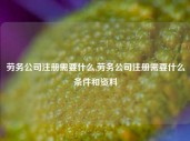 劳务公司注册需要什么,劳务公司注册需要什么条件和资料