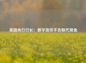 英国央行行长：数字货币不会取代现金