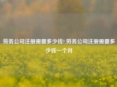 劳务公司注册需要多少钱?,劳务公司注册需要多少钱一个月