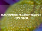 劳务公司办理安全许可证流程图片,劳务公司怎么办安全许可证