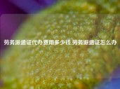 劳务派遣证代办费用多少钱,劳务派遣证怎么办