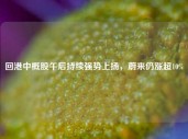 回港中概股午后持续强势上扬，蔚来仍涨超10%