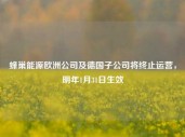 蜂巢能源欧洲公司及德国子公司将终止运营，明年1月31日生效