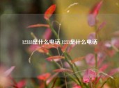 12333是什么电话,1233是什么电话