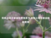 劳务公司注册流程费用多少,劳务公司注册流程和费用