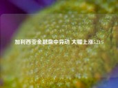 加利西亚金融盘中异动 大幅上涨5.21%