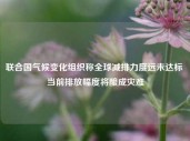 联合国气候变化组织称全球减排力度远未达标 当前排放幅度将酿成灾难