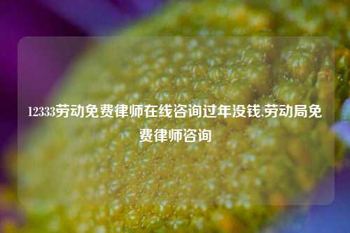 12333劳动免费律师在线咨询过年没钱,劳动局免费律师咨询