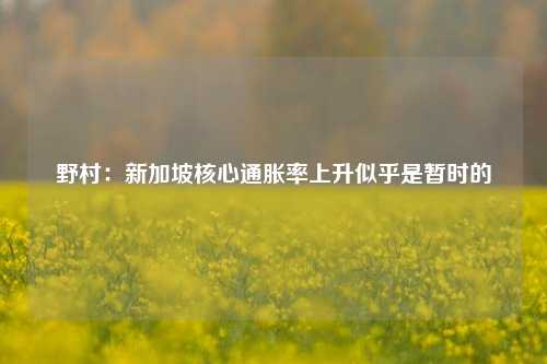 野村：新加坡核心通胀率上升似乎是暂时的