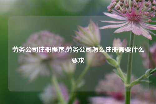 劳务公司注册程序,劳务公司怎么注册需要什么要求