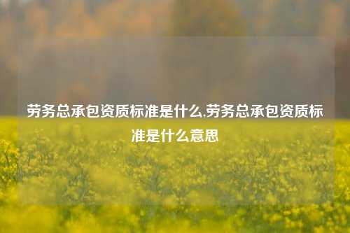 劳务总承包资质标准是什么,劳务总承包资质标准是什么意思