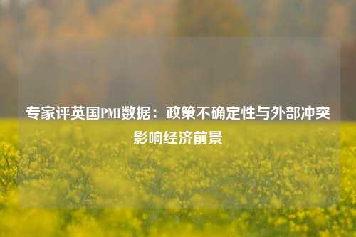 专家评英国PMI数据：政策不确定性与外部冲突影响经济前景