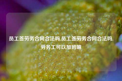 员工签劳务合同合法吗,员工签劳务合同合法吗,劳务工可以加班嘛