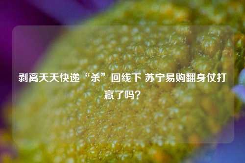 剥离天天快递“杀”回线下 苏宁易购翻身仗打赢了吗？