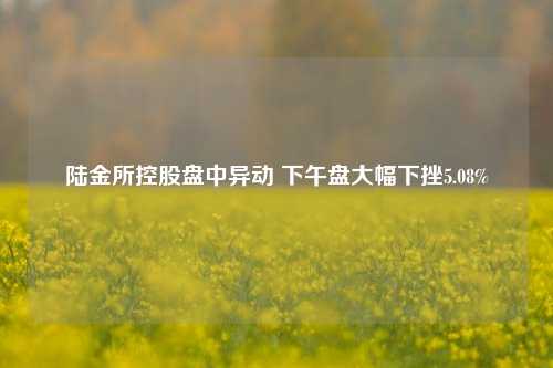 陆金所控股盘中异动 下午盘大幅下挫5.08%