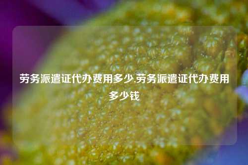 劳务派遣证代办费用多少,劳务派遣证代办费用多少钱