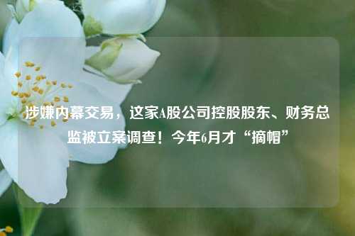 涉嫌内幕交易，这家A股公司控股股东、财务总监被立案调查！今年6月才“摘帽”