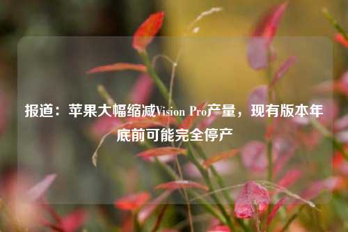 报道：苹果大幅缩减Vision Pro产量，现有版本年底前可能完全停产