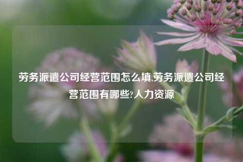 劳务派遣公司经营范围怎么填,劳务派遣公司经营范围有哪些?人力资源