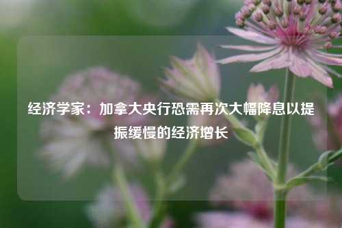 经济学家：加拿大央行恐需再次大幅降息以提振缓慢的经济增长