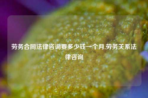 劳务合同法律咨询要多少钱一个月,劳务关系法律咨询