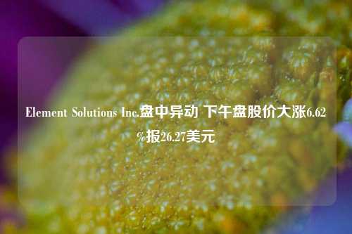 Element Solutions Inc.盘中异动 下午盘股价大涨6.62%报26.27美元