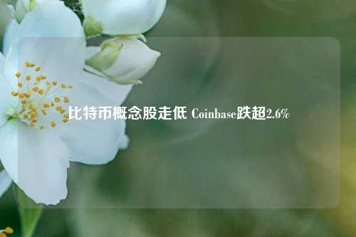 比特币概念股走低 Coinbase跌超2.6%