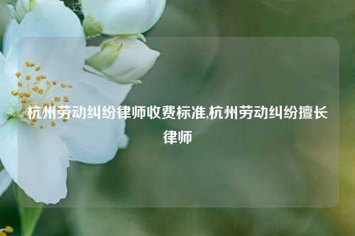 杭州劳动纠纷律师收费标准,杭州劳动纠纷擅长律师