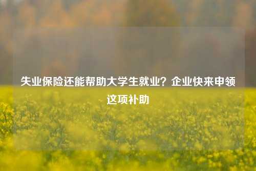 失业保险还能帮助大学生就业？企业快来申领这项补助