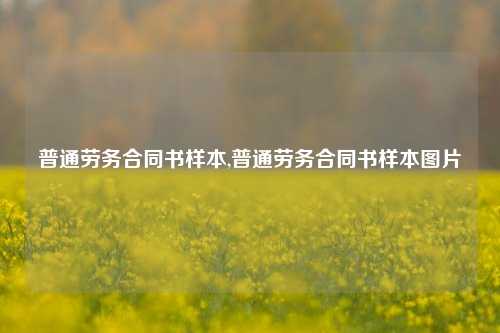 普通劳务合同书样本,普通劳务合同书样本图片