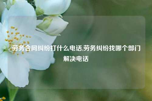 劳务合同纠纷打什么电话,劳务纠纷找哪个部门解决电话