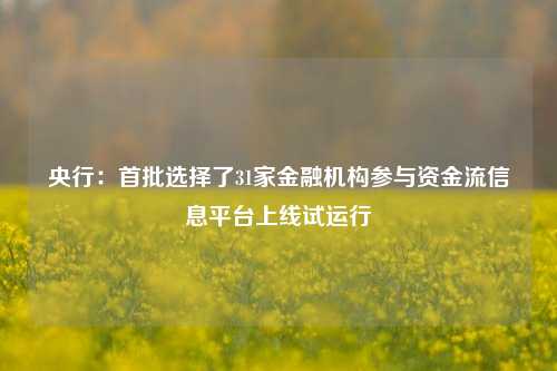 央行：首批选择了31家金融机构参与资金流信息平台上线试运行