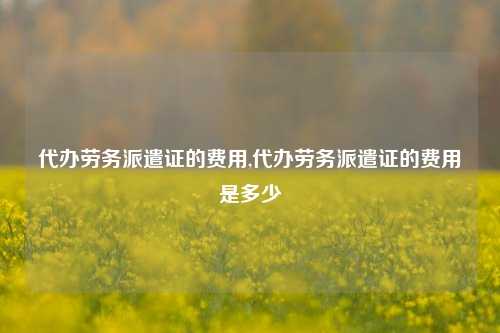 代办劳务派遣证的费用,代办劳务派遣证的费用是多少