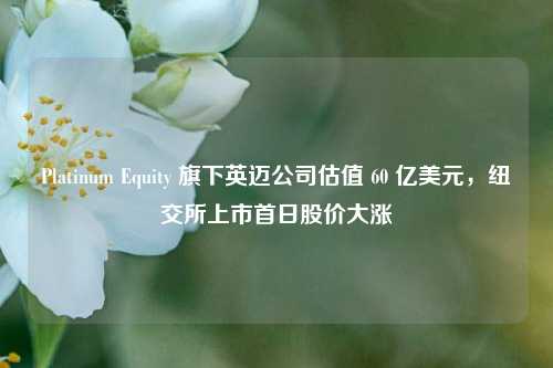 Platinum Equity 旗下英迈公司估值 60 亿美元，纽交所上市首日股价大涨